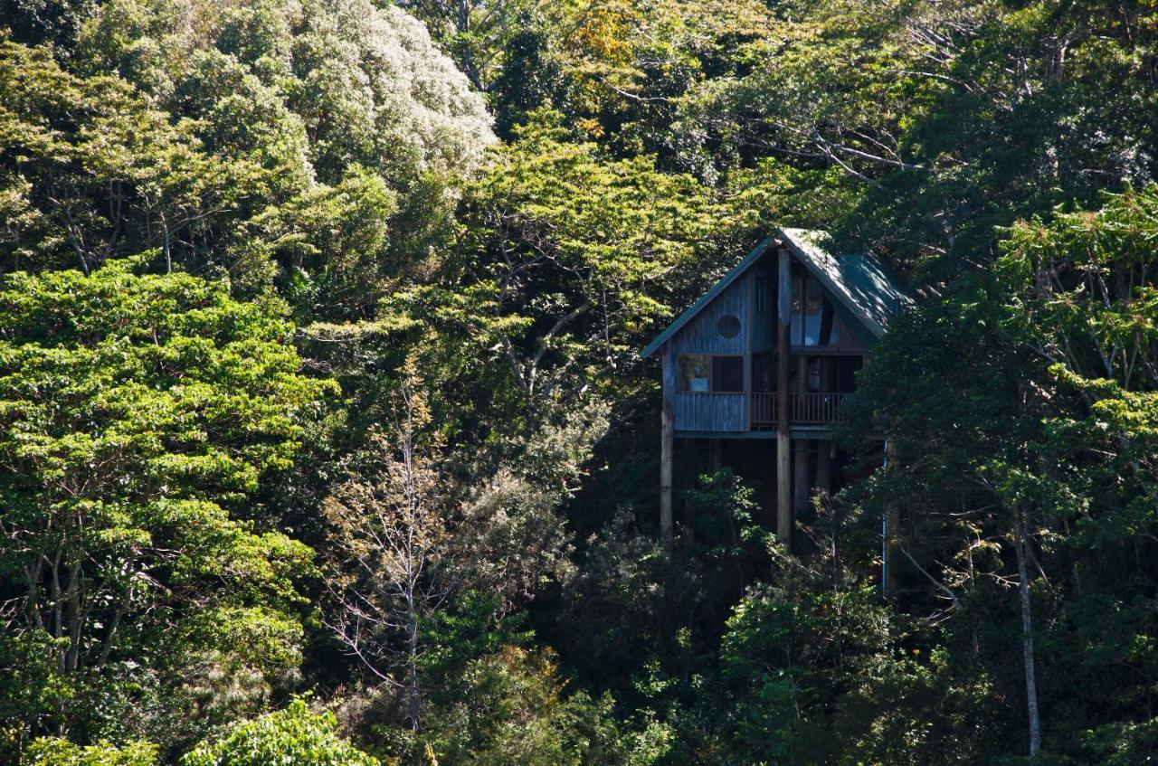 Rose Gums Wilderness Retreat Villa Butchers Creek Exterior photo