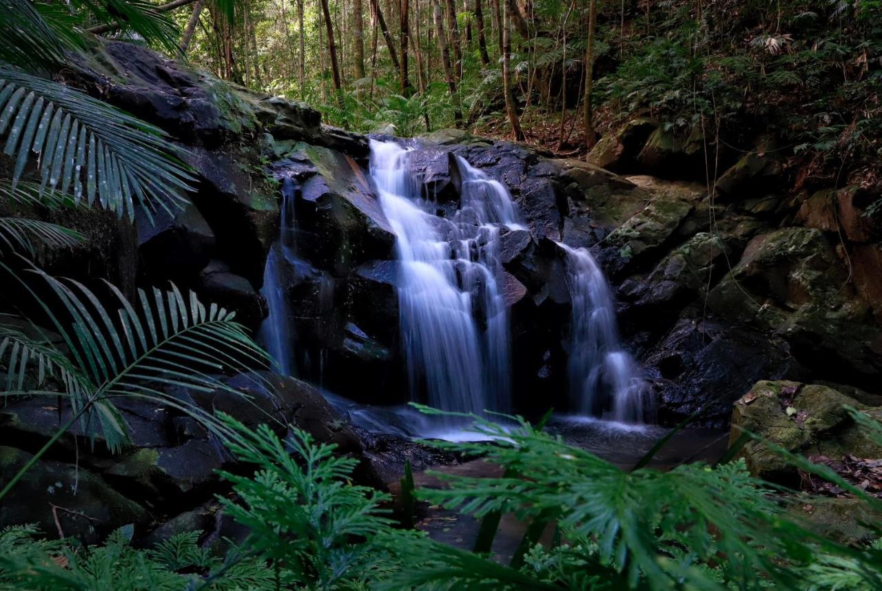 Rose Gums Wilderness Retreat Villa Butchers Creek Exterior photo