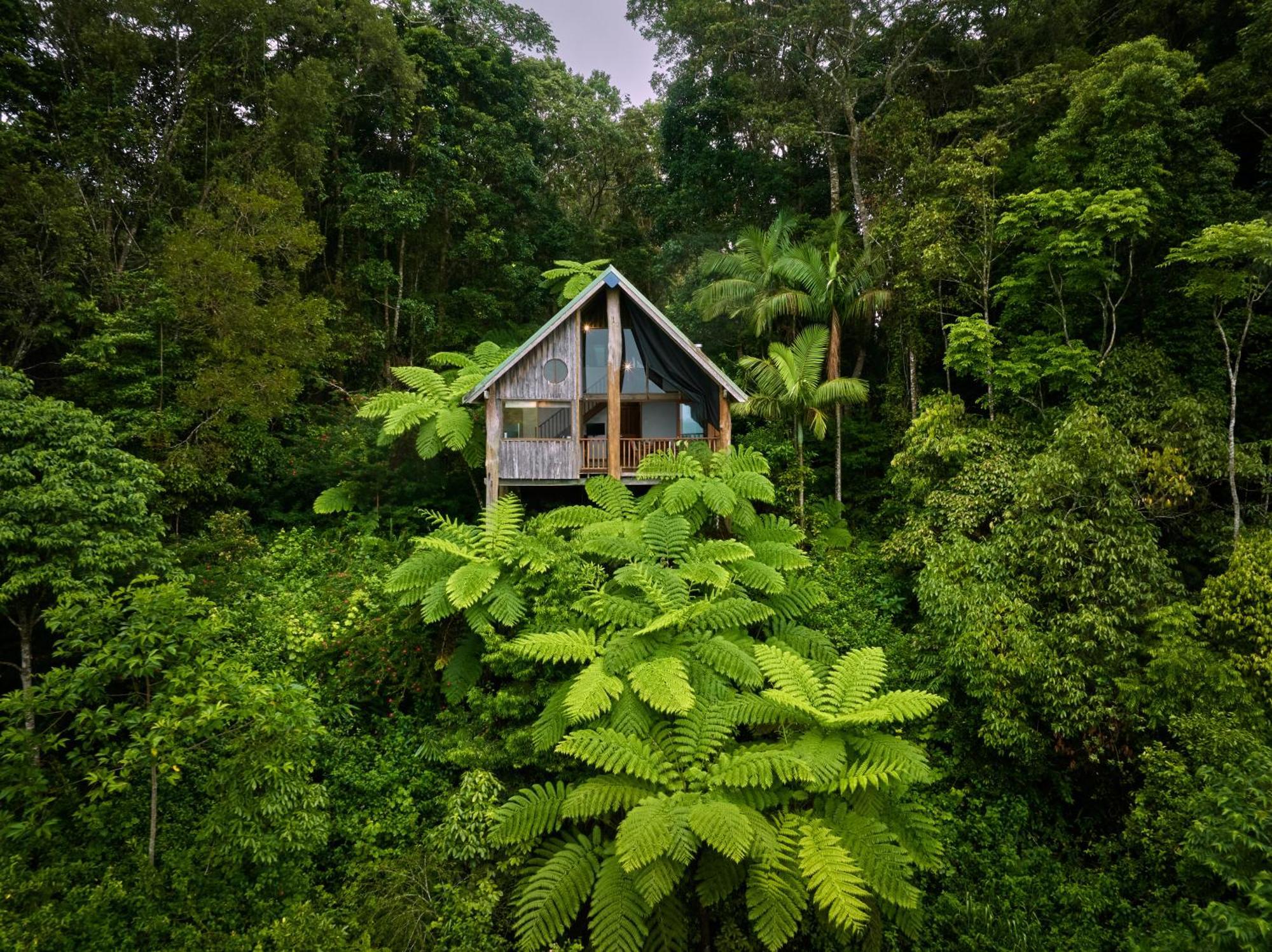 Rose Gums Wilderness Retreat Villa Butchers Creek Exterior photo