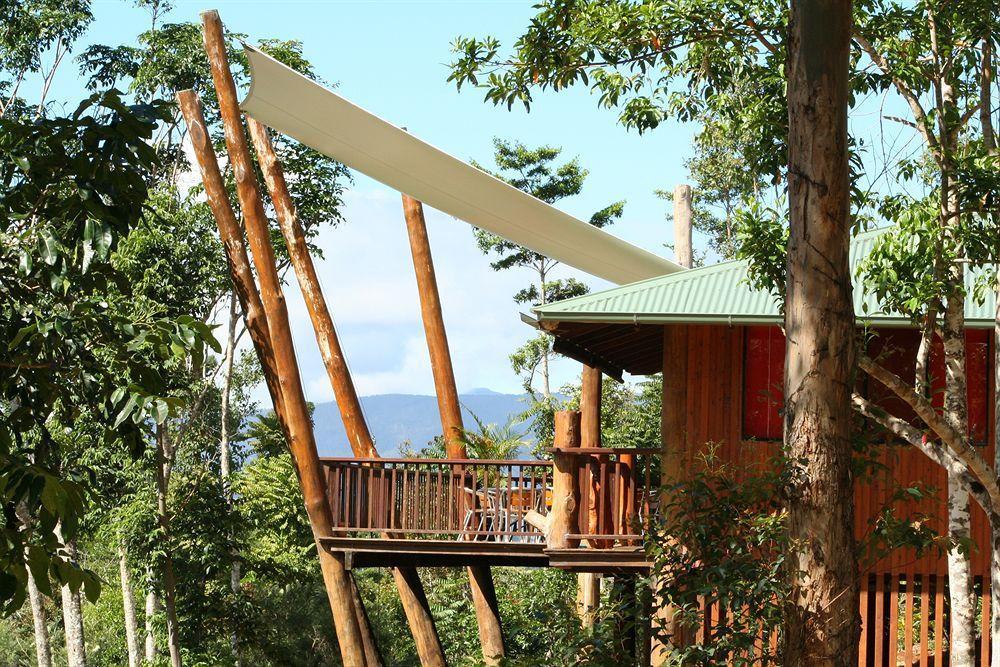 Rose Gums Wilderness Retreat Villa Butchers Creek Exterior photo