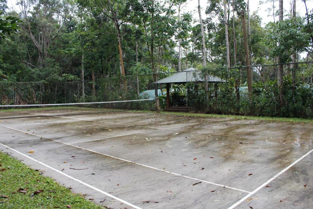 Rose Gums Wilderness Retreat Villa Butchers Creek Exterior photo